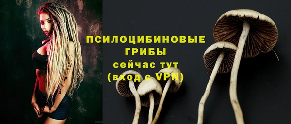 Альфа ПВП Переславль-Залесский