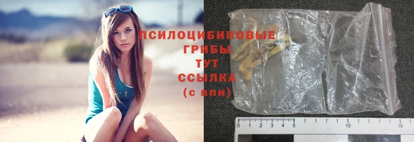 СК Пересвет