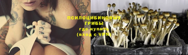 герыч Пестово