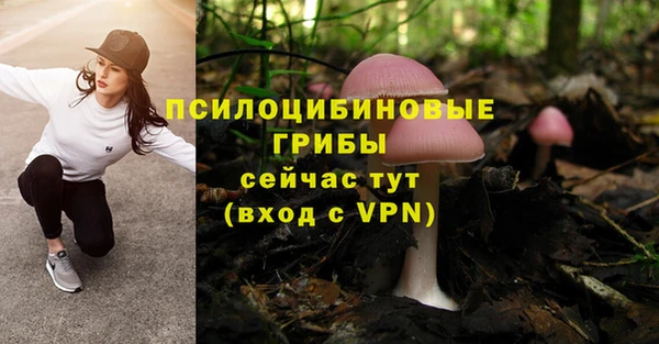 герыч Пестово