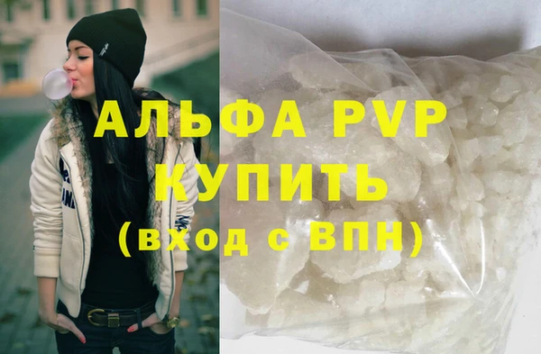 СК Пересвет